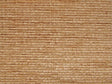 Carnaby Plush Wheat / SR15901 (Per Metre)