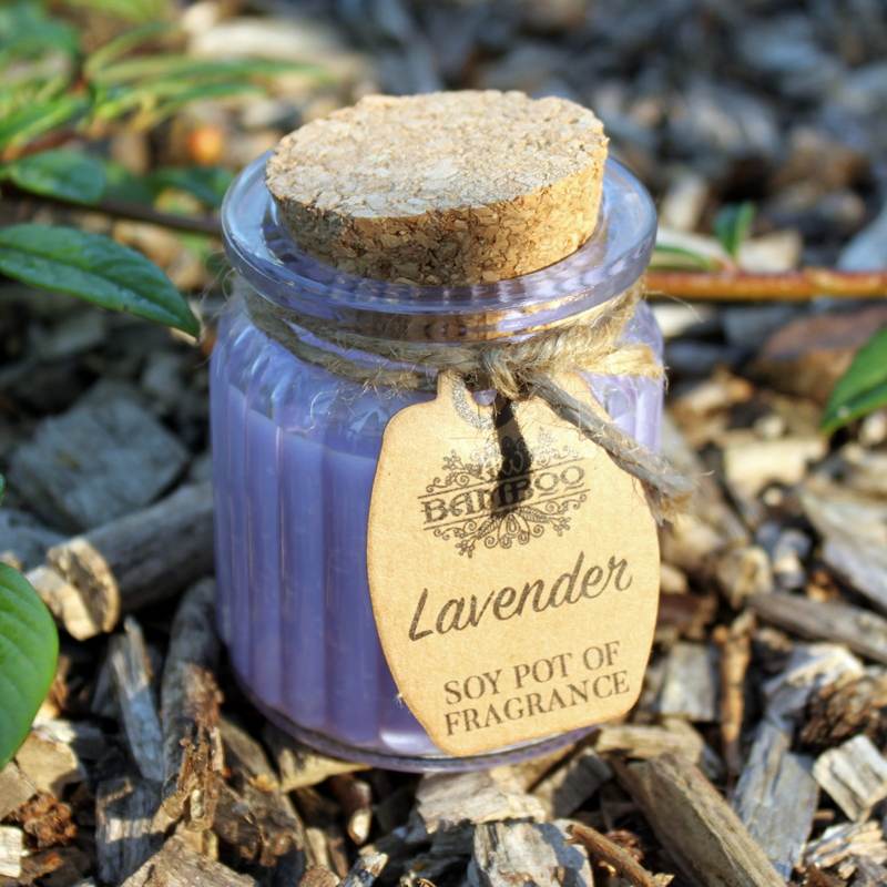 Lavender Soy Pot of Fragrance Candles