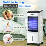 3-in-1 Evaporative Cooler, Fan, Humidifier with 7L Water Tank