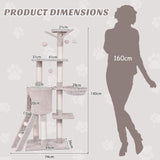56 Inch Condo Scratching Posts Ladder Cat Play Tree