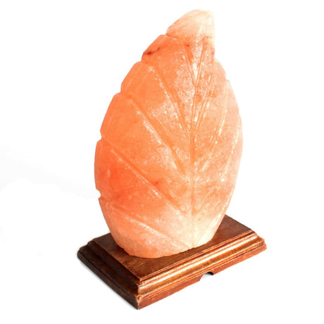 Shape Salt Lamp - Fern