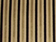 Eleganza Candy Stripe Ebony/Gold / SR17274 (Per Metre)