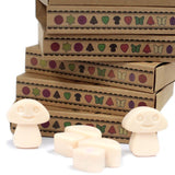 Box of 6 Wax Melts - Vanilla Nutmeg