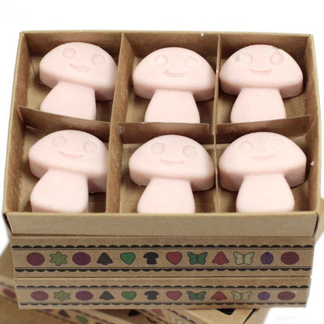 Box of 6  Wax Melts - Old Ginger