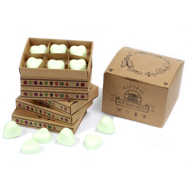 Box of 6 Wax Melts - Watermelon Fresh