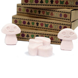 Box of 6  Wax Melts - Dark Sandalwood