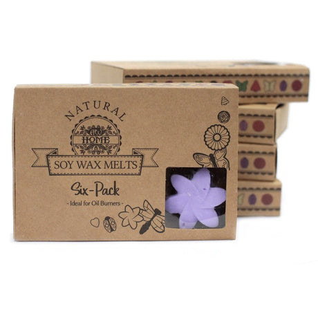 Box of 6  Wax Melts - Lavender Fields