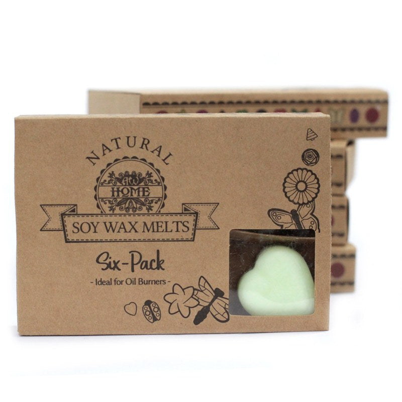 Box of 6 Wax Melts - Apple Spice