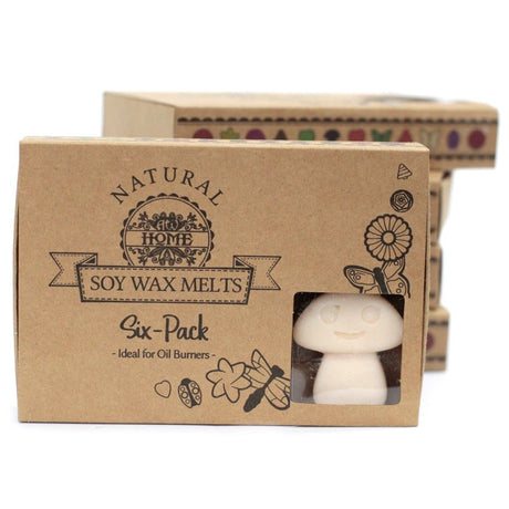 Box of 6 Wax Melts - Vanilla Nutmeg