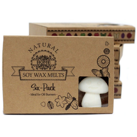 Box of 6 Wax Melts - White Musk