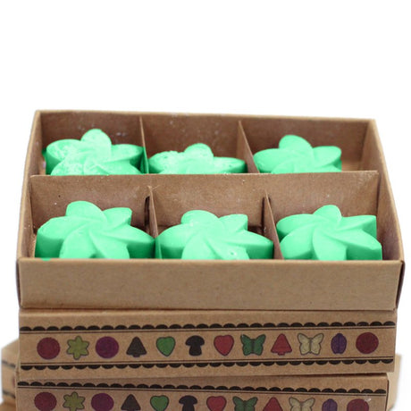 Box of 6  Wax Melts - Hidden Garden