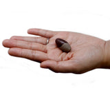 One Inch Lingam - 3 Stones