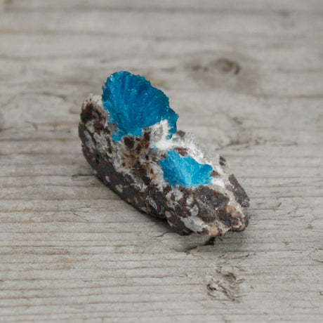 Cavansite with Metrics 30-40mm