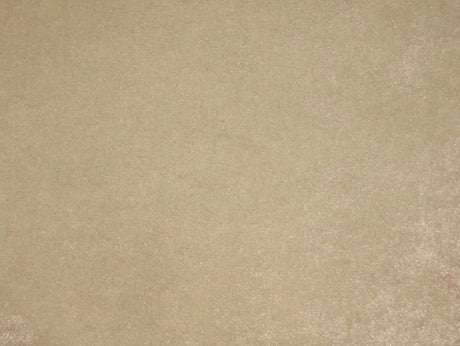 Pastiche Plain White / SR18050