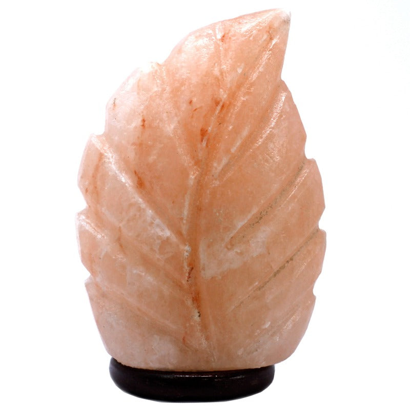 Crafted Salt lamp - Fern 3x5x7 inch