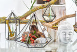 Glass Terrarium - Lantern Shape