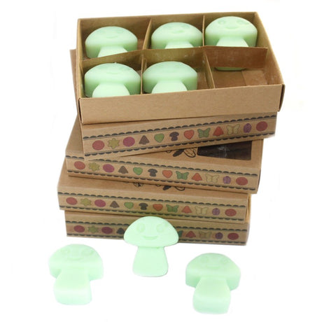 Box of 6  Wax Melts - Liquorice