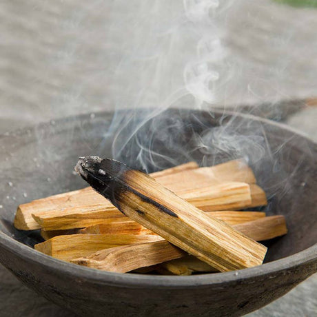 50g Green Tree Palo Santo Sticks 5-8 sticks