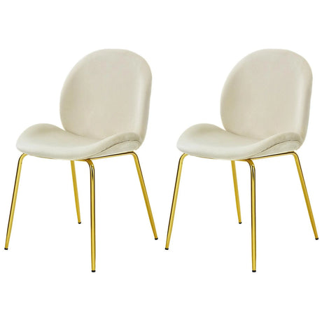 Set of 2 Modern Velvet Dining Chairs with Golden Finished Metal Legs for Kitchen and Dining Room