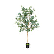 5.5 Feet Artificial Eucalyptus Tree with 517 Silver Dollar Leaves