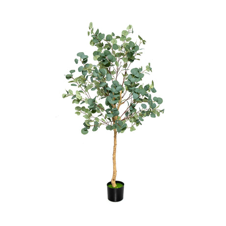 5.5 Feet Artificial Eucalyptus Tree with 517 Silver Dollar Leaves