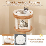 166 cm Tall Cat Tree with Self-groomer and Removable Cat Bed-Coffee