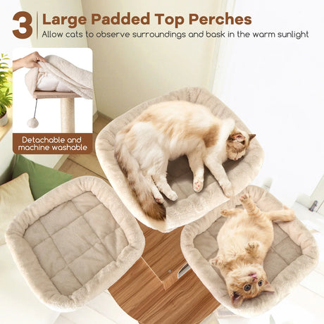 168cm Wooden Scratching Post with Cave &amp; Ladder &amp; Mats &amp; Balls &amp; Hammock Cat Scratching Post