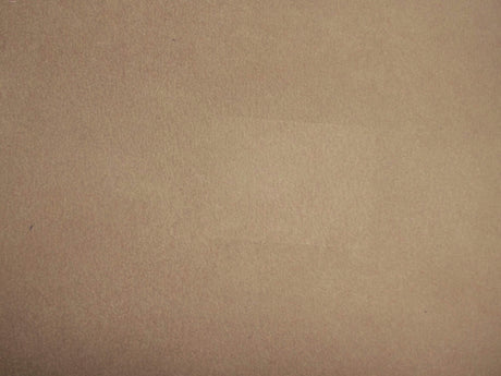 Dunbar Mole / SR19065