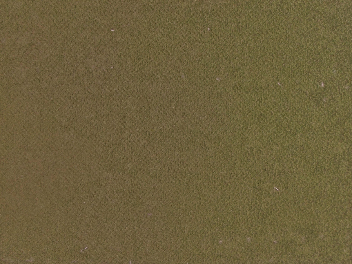 Dunbar Green / SR19067