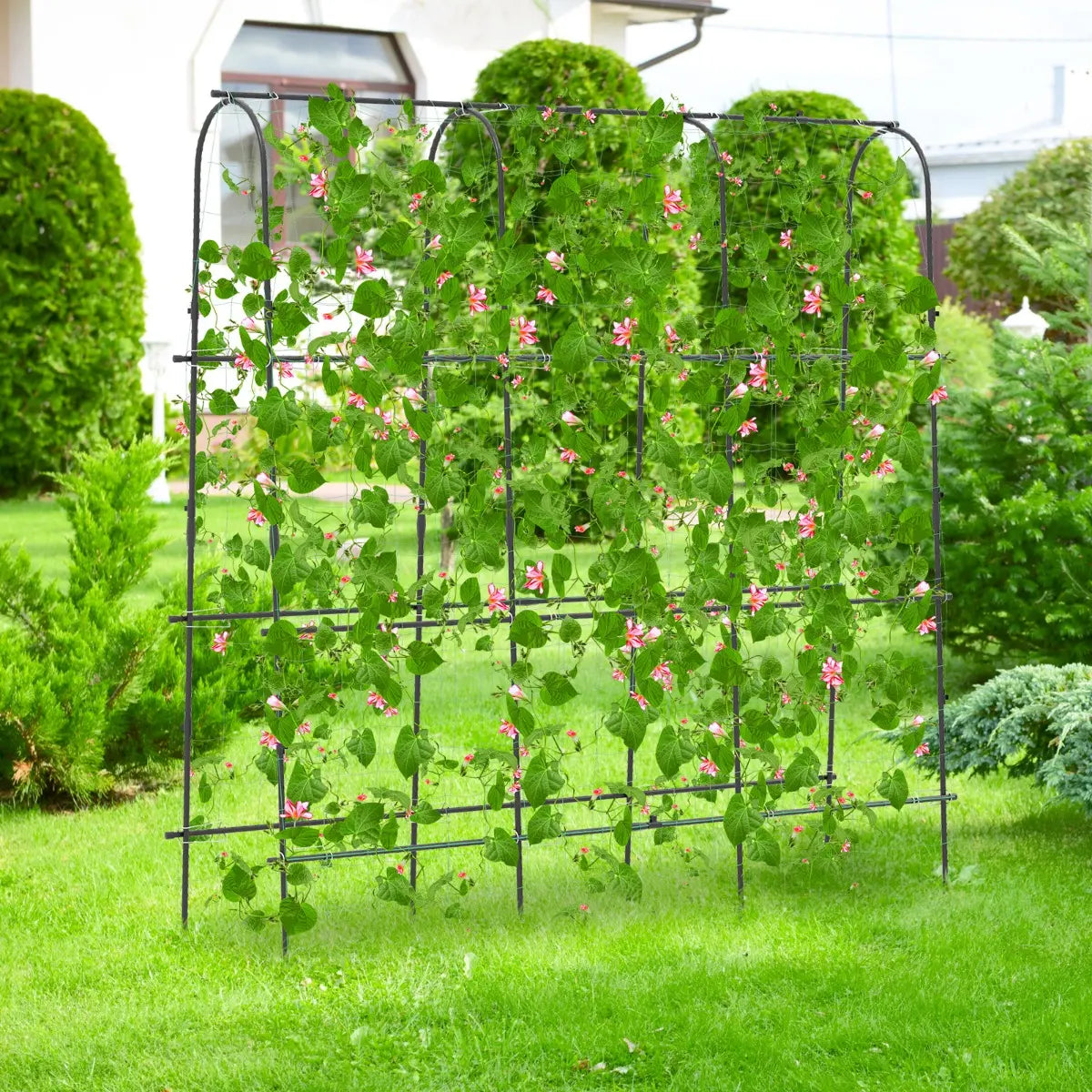 Garden Arched Trellis for Climbing Plants U-Shaped with Netting