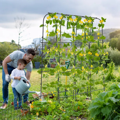 Garden Arched Trellis for Climbing Plants U-Shaped with Netting