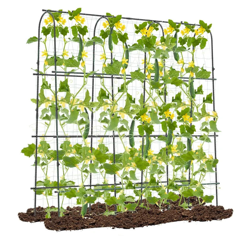 Garden Arched Trellis for Climbing Plants U-Shaped with Netting