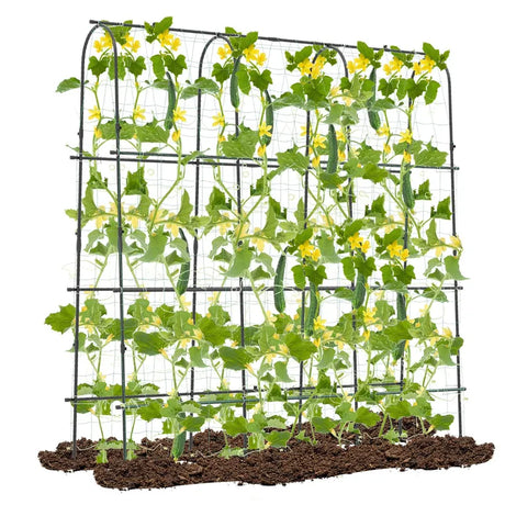 Garden Arched Trellis for Climbing Plants U-Shaped with Netting