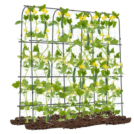 Garden Arched Trellis for Climbing Plants U-Shaped with Netting