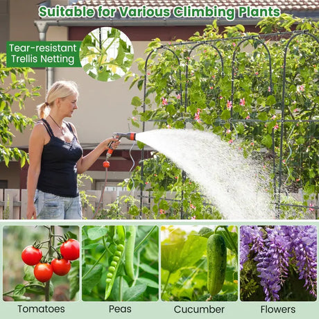 Garden Arched Trellis for Climbing Plants U-Shaped with Netting