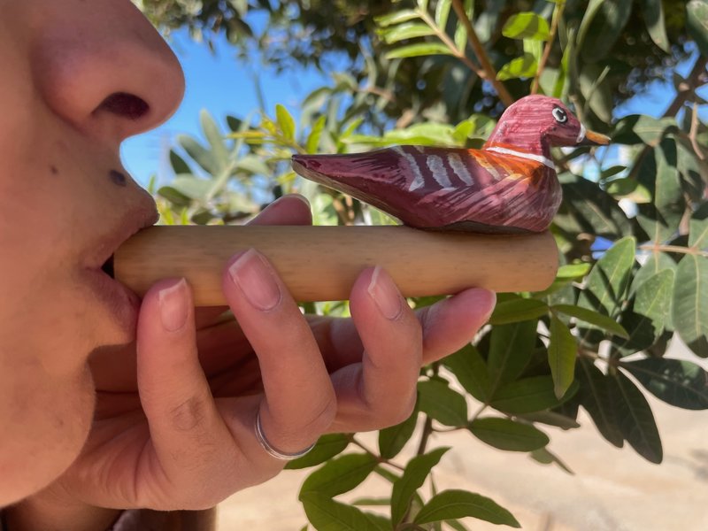 Simple Bamboo Bird Whistle