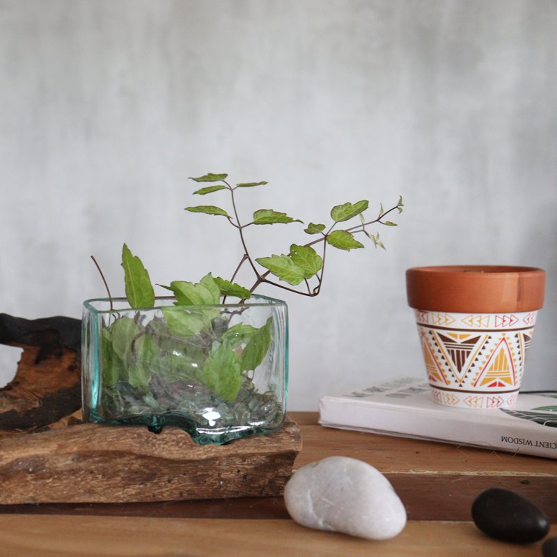 Molten Glass Tank on Wood with Stand - Small Bowl