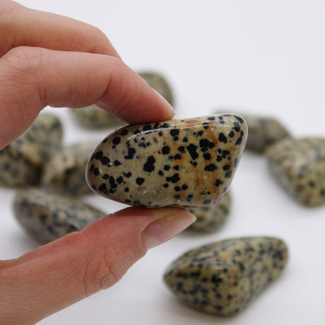 XL Tumble Stones - Dalmation Stone