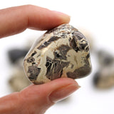 XL Tumble Stones - Jasper - Silverleaf