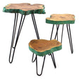 Set of 3 Gamal Wood Plant Stands - Greenwash