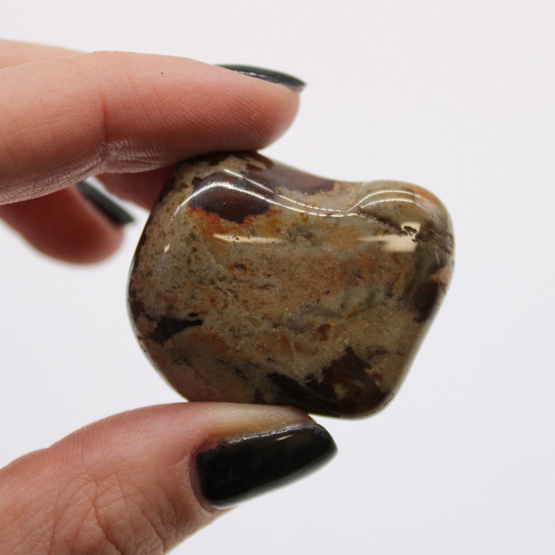 Large African Tumble Stones - Jasper Nguni