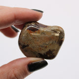 Large African Tumble Stones - Jasper Nguni