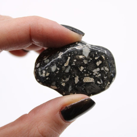 Medium African Tumble Stones - Guinea Fowl Medium