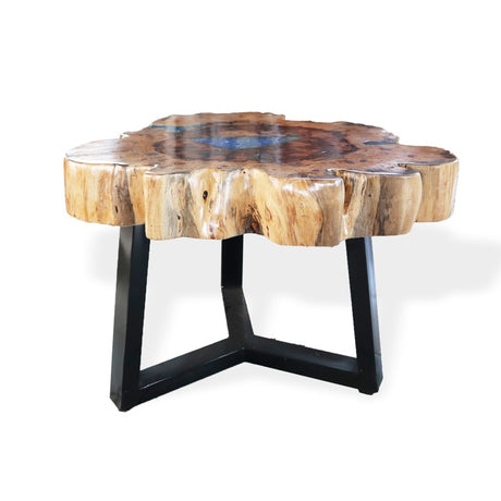 Tamarind and Resin Coffee Table - Aqua