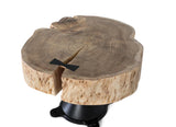 Giner and Colomer - Acacia Trunk Coffee Table With Metal Base