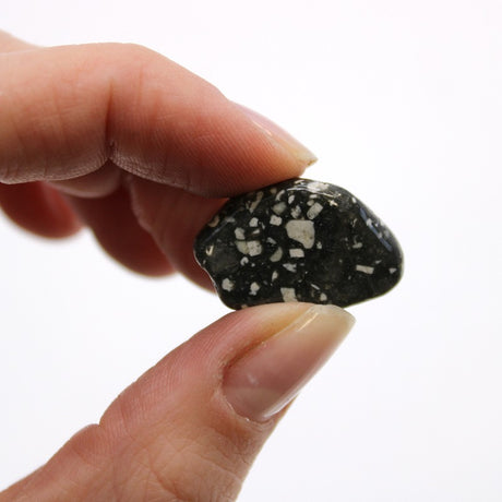 Small African Tumble Stones - Guinea Fowl