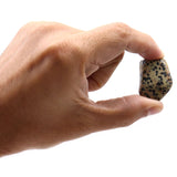 L Tumble Stones - Dalmation Stone