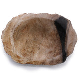 Petrified Wood Black Soap Dish