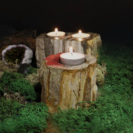 Petrified Wood Candle Holder - Single Tall