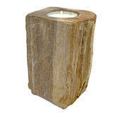 Petrified Wood Candle Holder - Single Tall